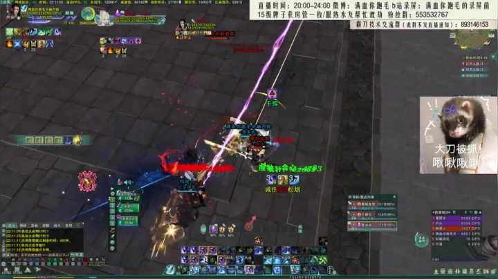 【2020-11-28 21点场】卷毛毛毛丶：【霸刀视角】叛逆苍霸花！