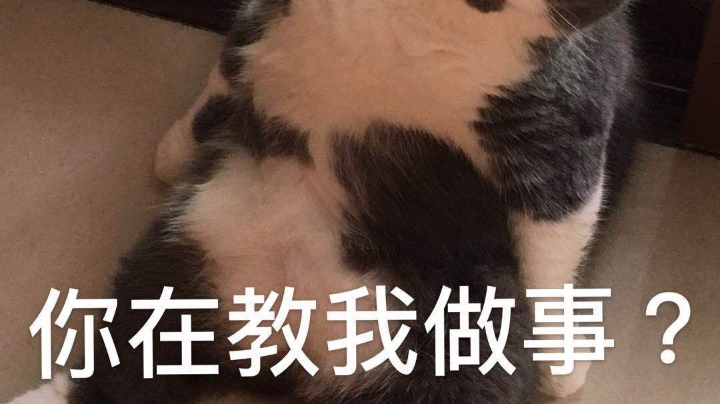 一区白银沉沦