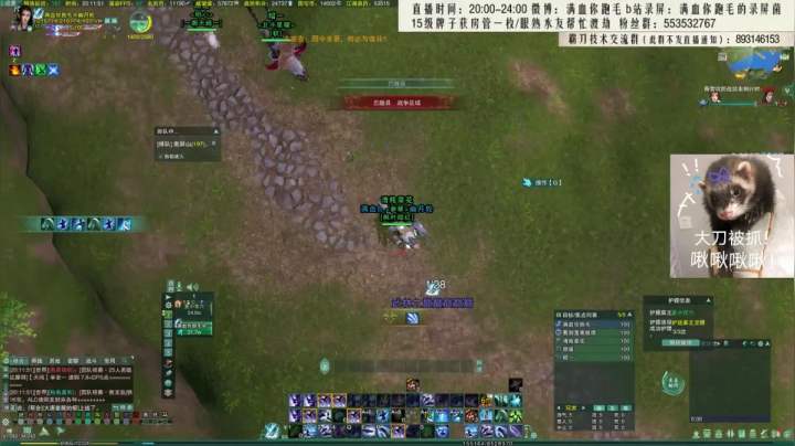 【2020-11-28 19点场】卷毛毛毛丶：【霸刀视角】叛逆苍霸花！