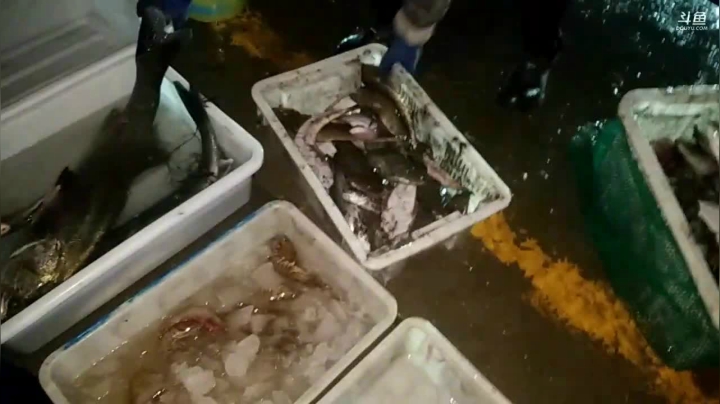 【2020-12-02 18点场】威海大叔：风里雨里，海鲜走起。