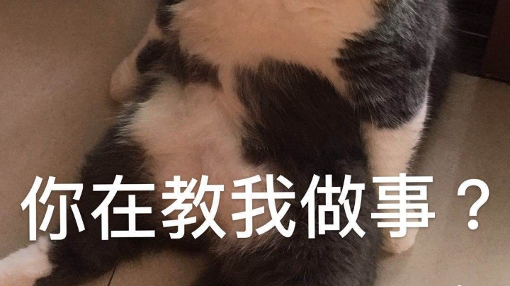 吃饭不积极 脑壳有问题