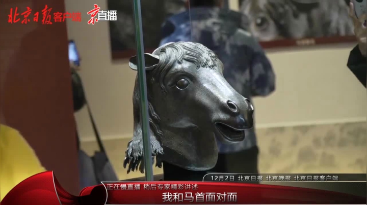 【2020-12-02 10点场】北京日报客户端：直播丨我和马首面对面