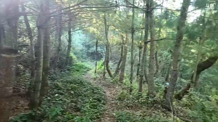 【2020-12-02 16点场】叶子户外：《纪实直播》去腾冲，瓦房乡