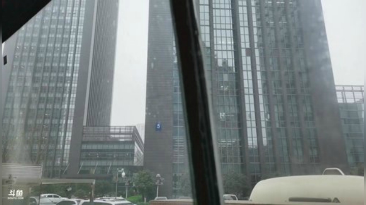 我在斗鱼看鱼公益善直播正能量