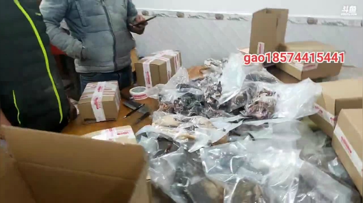 【2020-12-03 14点场】魅力生活i：下雨在家聊天