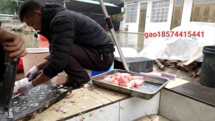 【2020-12-03 12点场】魅力生活i：下雨在家聊天