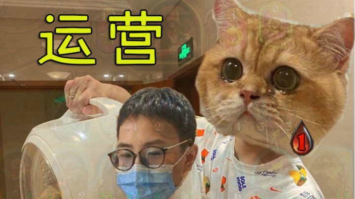 鼎级运营，步步惊心，猫咪1血极限翻盘惊险吃鸡！
