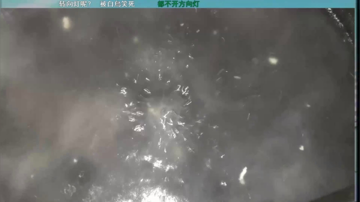 【2020-12-02 04点场】史维佳：刚刚开始了