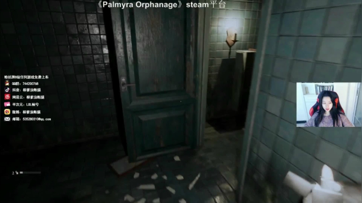 《帕尔米拉孤儿院》柳鸽出境实况