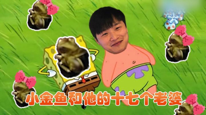 【CSGO开箱】：小金鱼和他的十七个老婆