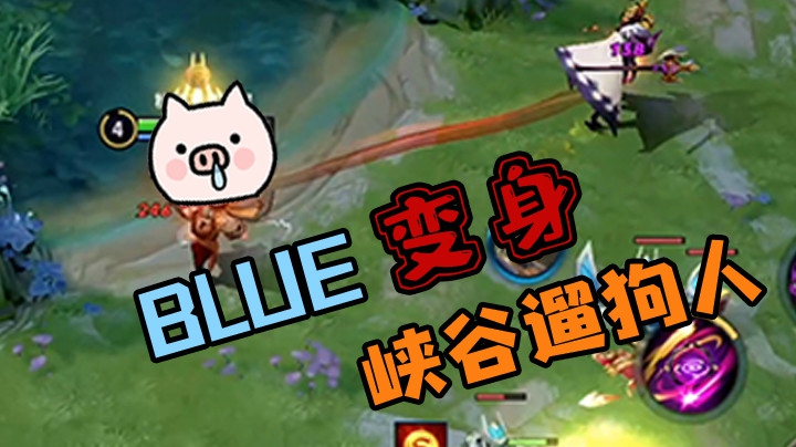 折磨王来了 来一波遛狗小明