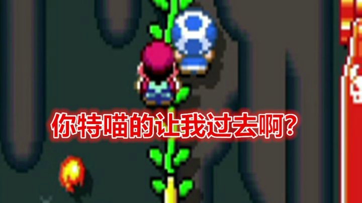 【马里奥制造2】一 看 就 是 老 闸 总 了