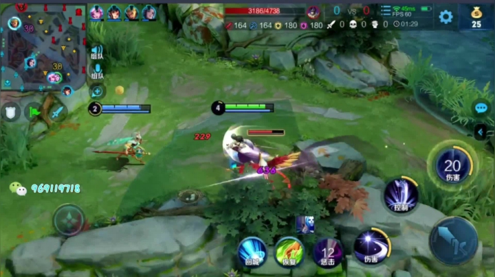 【2020-12-02 20点场】右手手丶：国服露娜从不断大 上车语音带粉