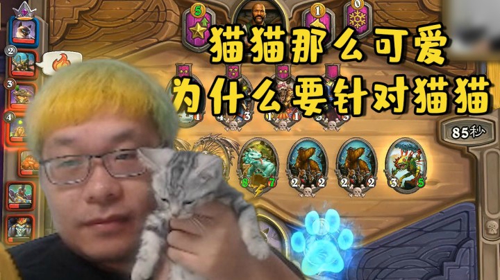 【炉石王师傅】猫猫那么可爱 为什么要针对猫猫