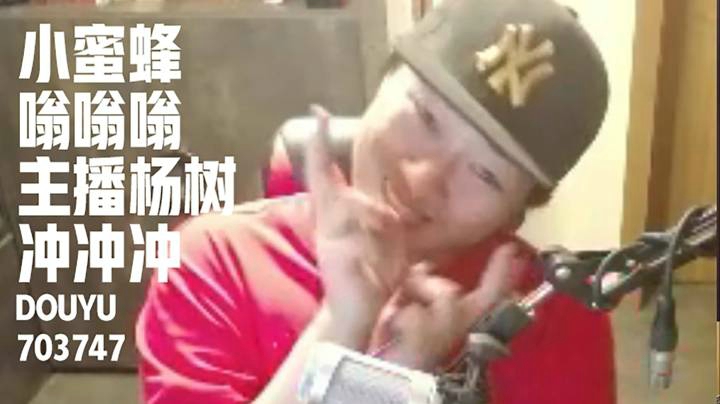 【杨树名场面】小蜜蜂嗡嗡嗡