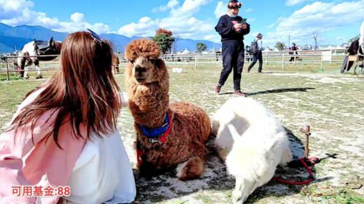 【户外】百变姑姑肖淑洁的精彩时刻 20201204 14点场