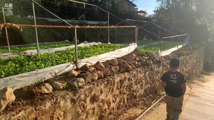 【2020-12-04 16点场】叶子户外：《纪实直播》腾冲