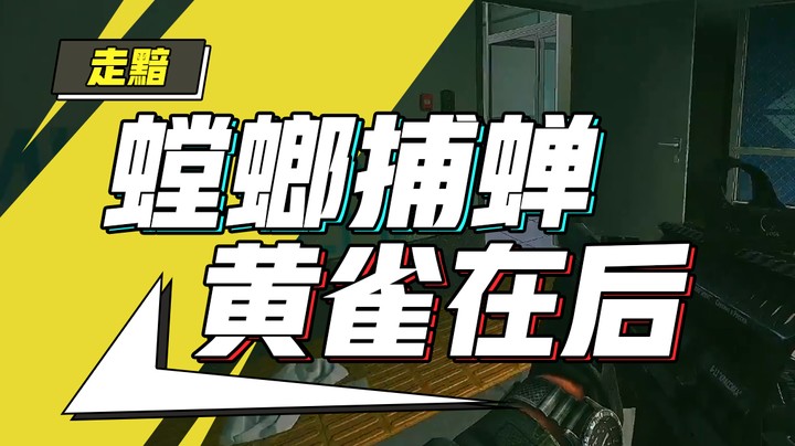 2月7日录播，螳螂捕蝉黄雀在后