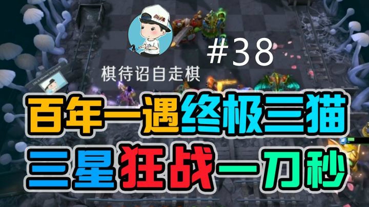 棋待诏自走棋#38 百年一遇终极三猫，全三星狂战一刀爆炸！