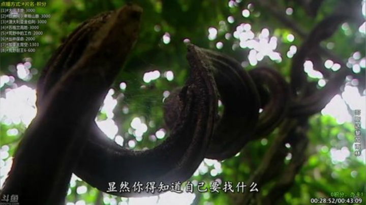 【科普】酷炫你你你的精彩时刻 20201204 18点场