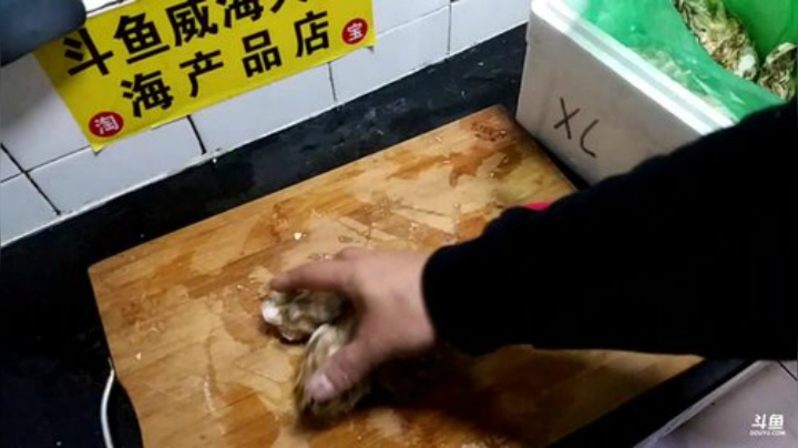 【美食】威海大叔的精彩时刻 20201204 00点场