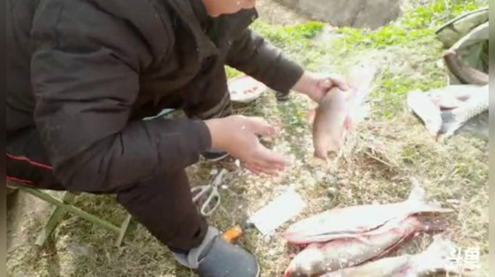 【户外】超哥户外打野的精彩时刻 20201204 09点场