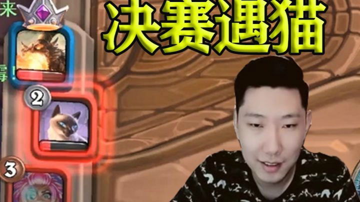 猫舔了6个包和我打决赛，我把她杀了，算不算我一打七？