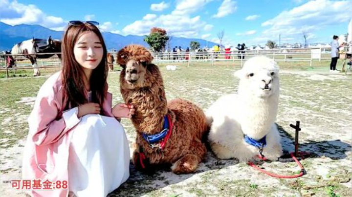 【户外】百变姑姑肖淑洁的精彩时刻 20201204 14点场