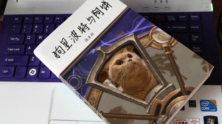【狗贼的日常SE】嗯？挂壁主播！