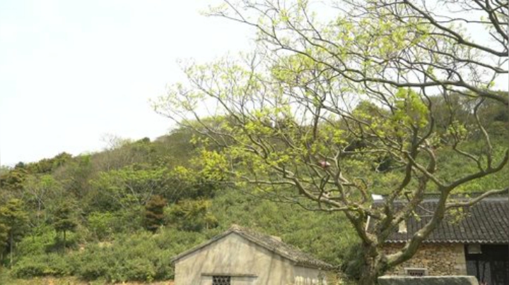 【美食】YESHI小哥的精彩时刻 20201204 07点场