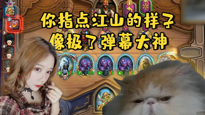 【炉石王师傅】你指点江山的样子像极了弹幕大神