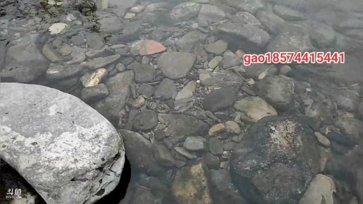 【2020-12-04 13点场】魅力生活i：河道抓水蜈蚣