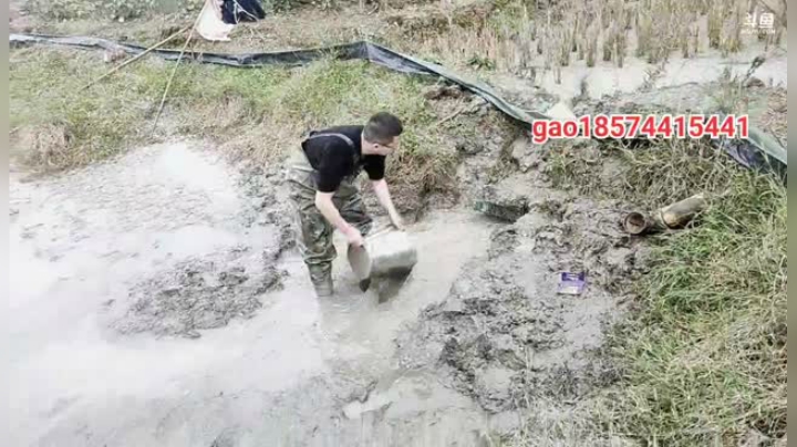 【2020-12-05 13点场】魅力生活i：抽个龙虾塘玩玩