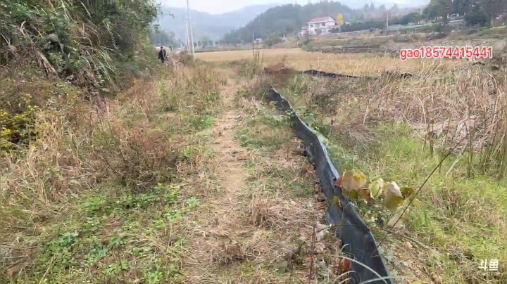 【2020-12-05 10点场】魅力生活i：抽个龙虾塘玩玩