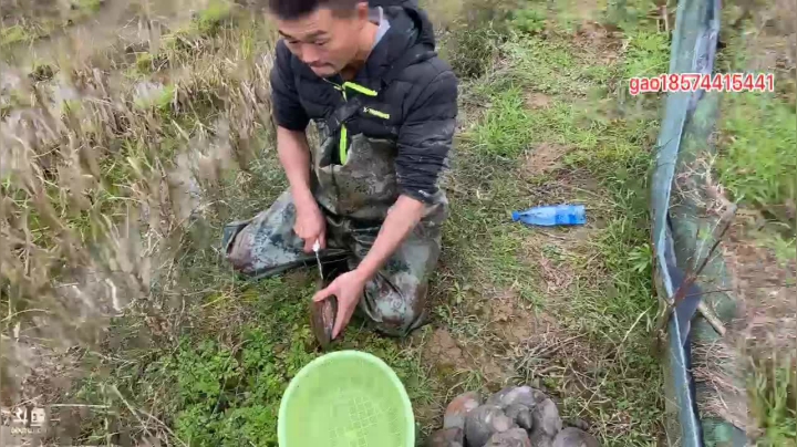 【2020-12-05 12点场】魅力生活i：抽个龙虾塘玩玩