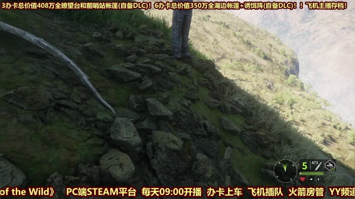 【2020-12-04 11点场】西门缺油：猎人荒野的召唤 4519195
