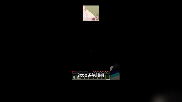 无限循环红石电梯陷阱你们见过吗