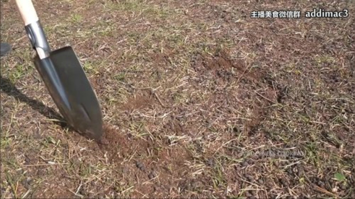 【美食】屎马蛋的精彩时刻 20201206 11点场