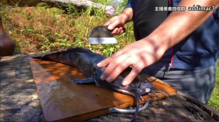 【美食】屎马蛋的精彩时刻 20201207 12点场