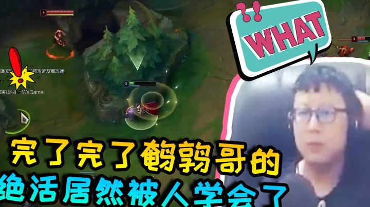 完了完了，鹌鹑哥的绝活居然被人学会了