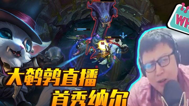 大鹌鹑直播首秀纳尔，直呼有我这种队友真是太好了
