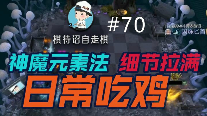 棋待诏#70：【4神4元素6法师】日常吃鸡，细节拉满！