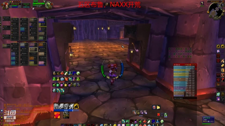 【魔兽怀旧服】浅唱伤悲c的NAXX开荒10