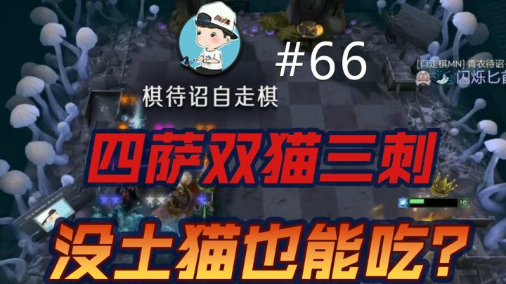 棋待诏#66【四萨双猫三刺】没土猫也能吃？