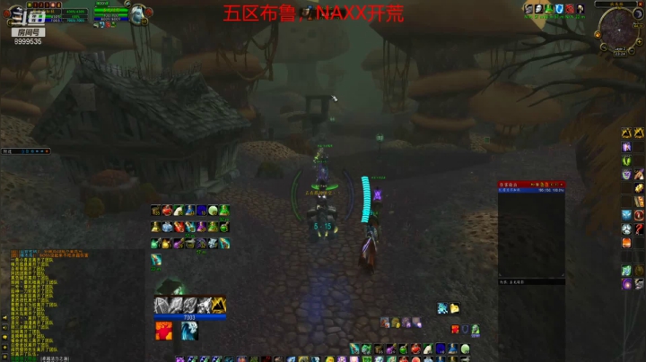 【魔兽怀旧服】浅唱伤悲c的NAXX开荒14
