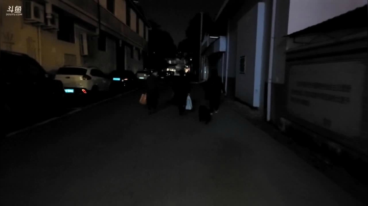 【2020-12-08 20点场】叶子户外：《纪实直播》腾冲