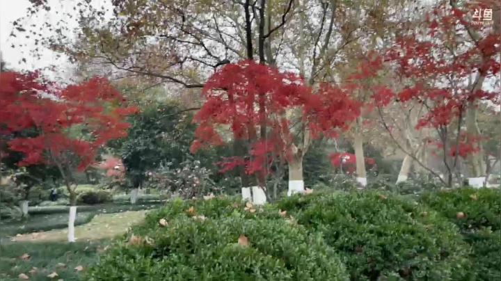 【2020-12-08 13点场】恩基爱萌萌哒的狗贼：阿超！你挨打的样子真滴好靓仔~