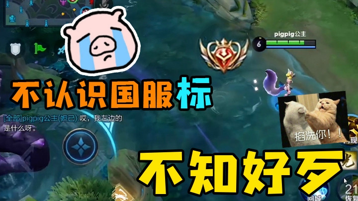 当你拿到国标去炫耀 没想到根本没人认识