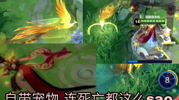 芈月新皮肤特效有多炫酷？值300个荣耀水晶！