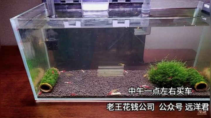 【户外】远洋君的精彩时刻 20201208 11点场